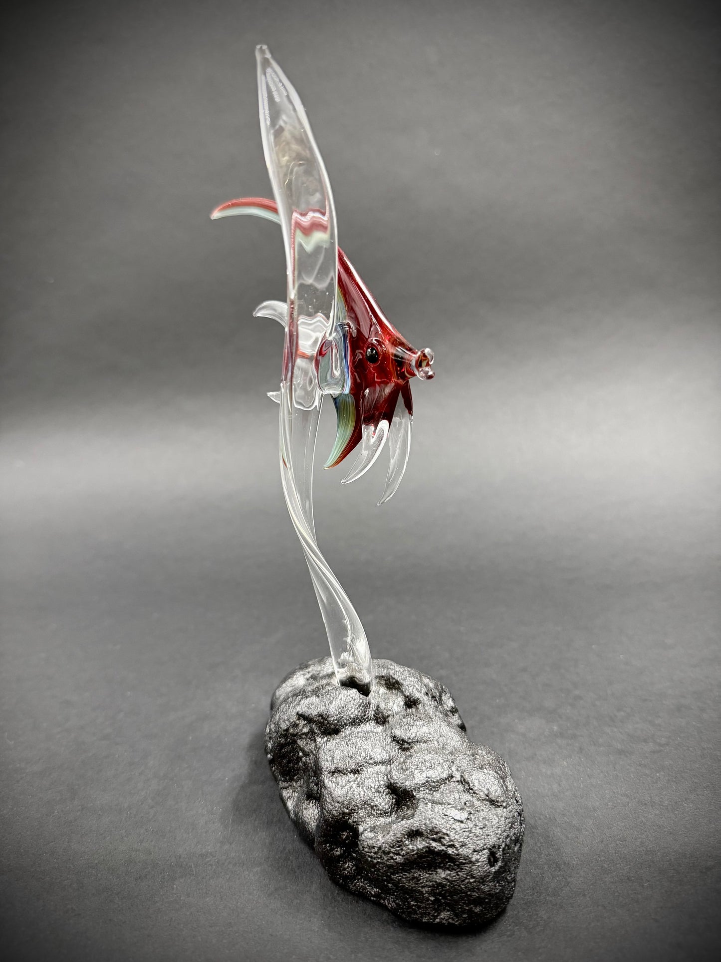 Medium Red Idol Fish