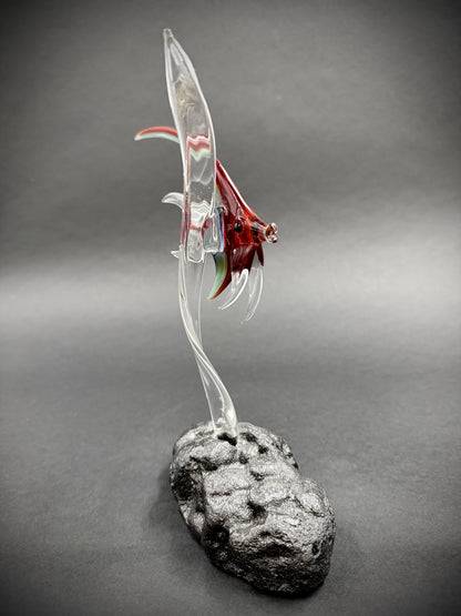 Medium Red Idol Fish