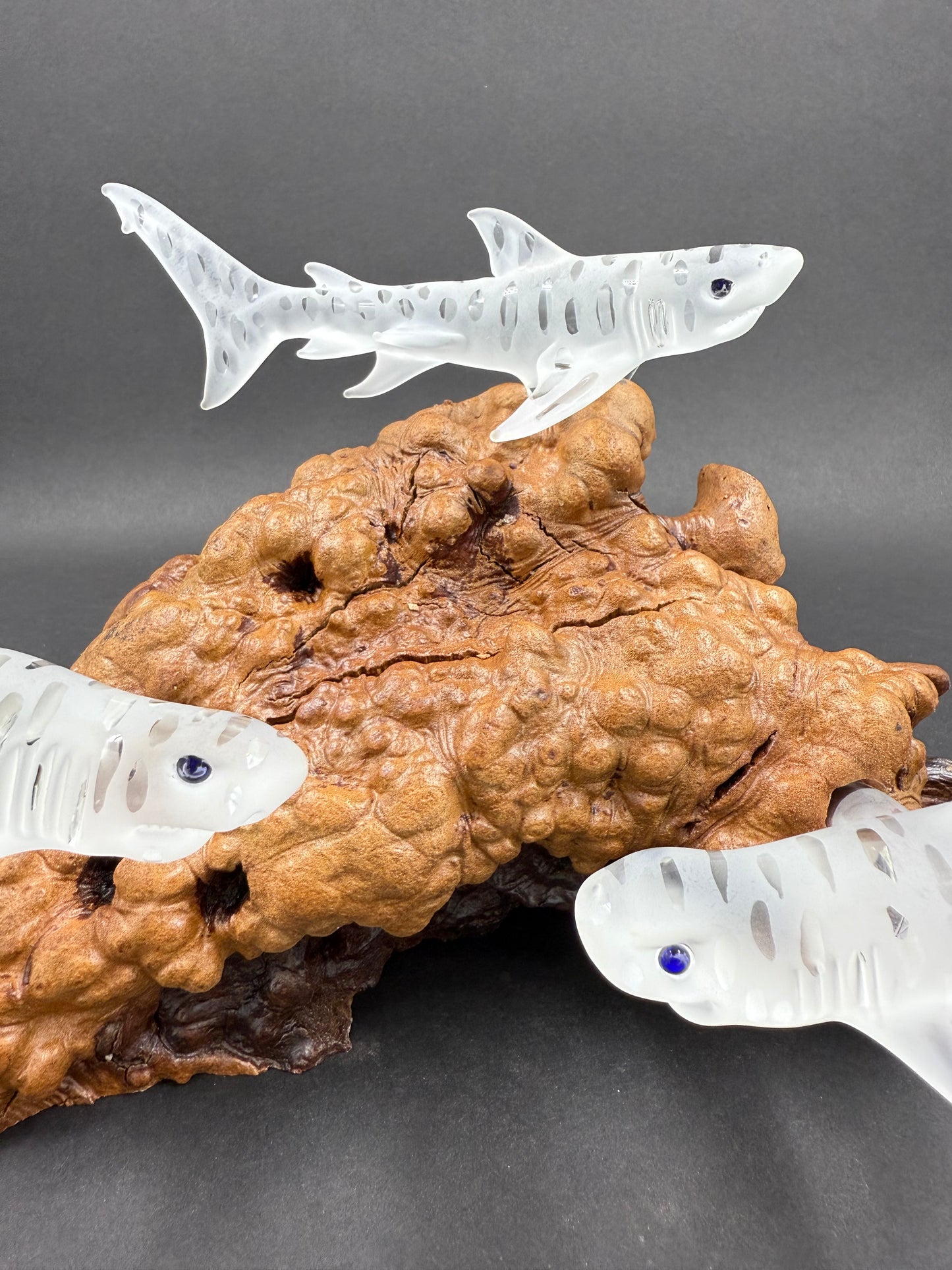 Triple Tiger shark glass sculpture