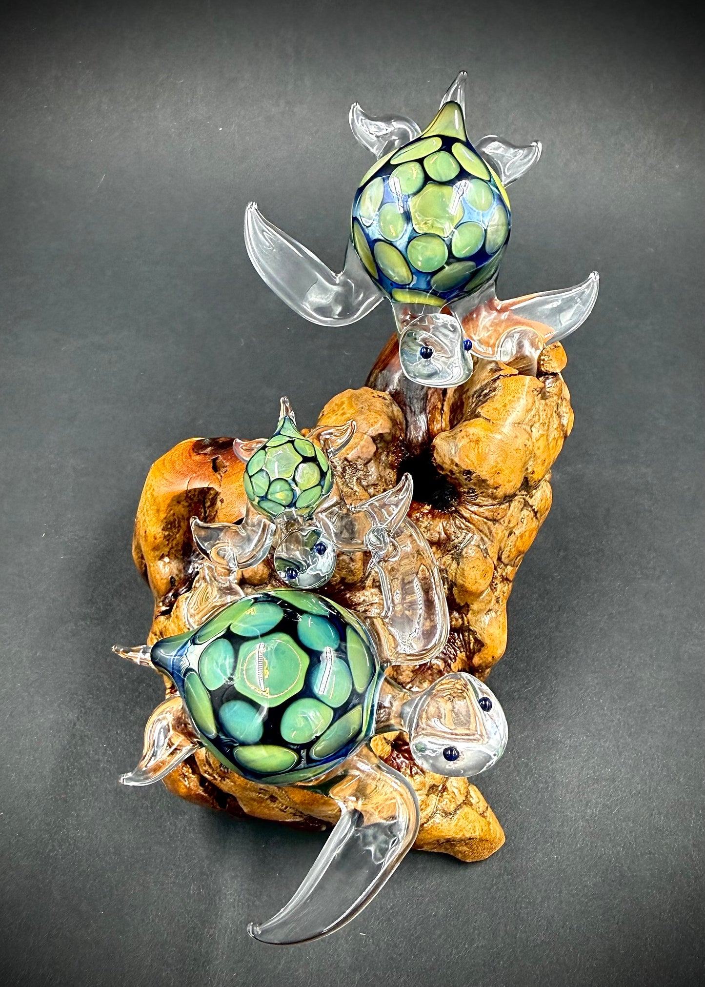 Ohana Family of 3 Hawaiian Sea Turtles