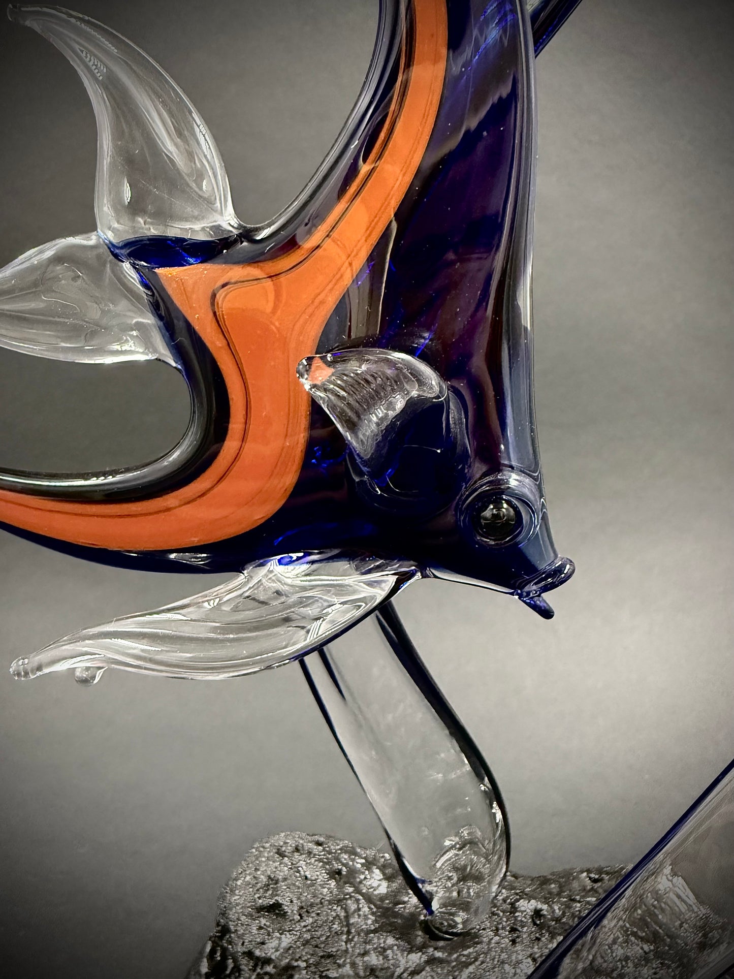 Cobalt and Orange Moorish Idol Fish