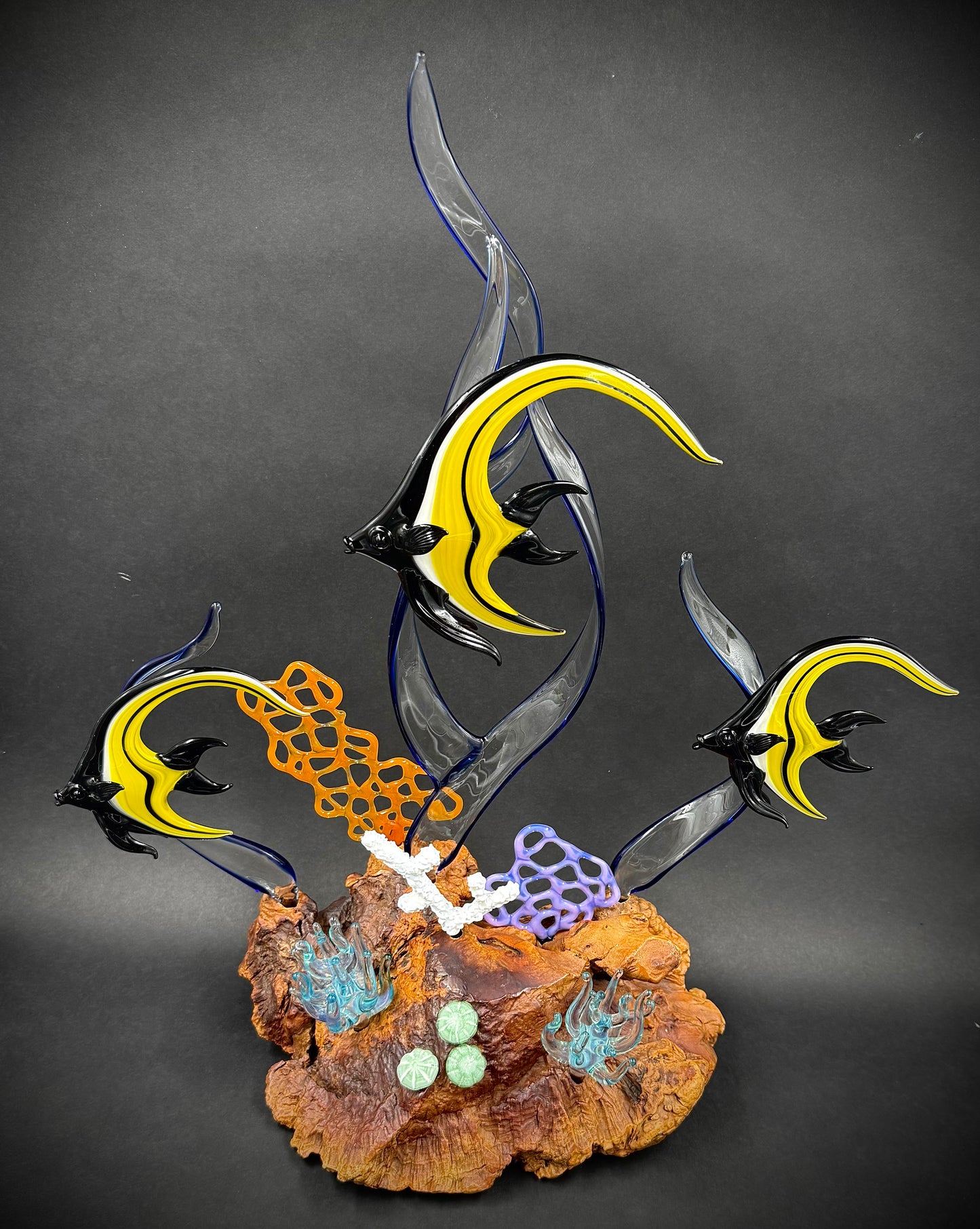 Moorish Idol Reef
