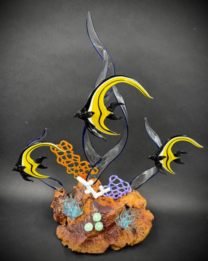 Moorish Idol Reef