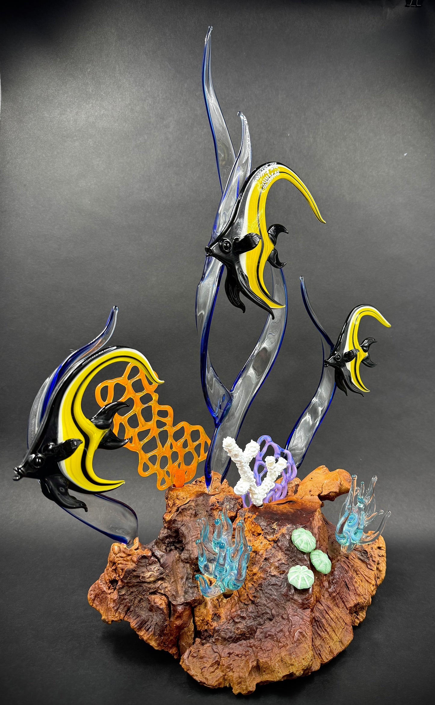 Moorish Idol Reef