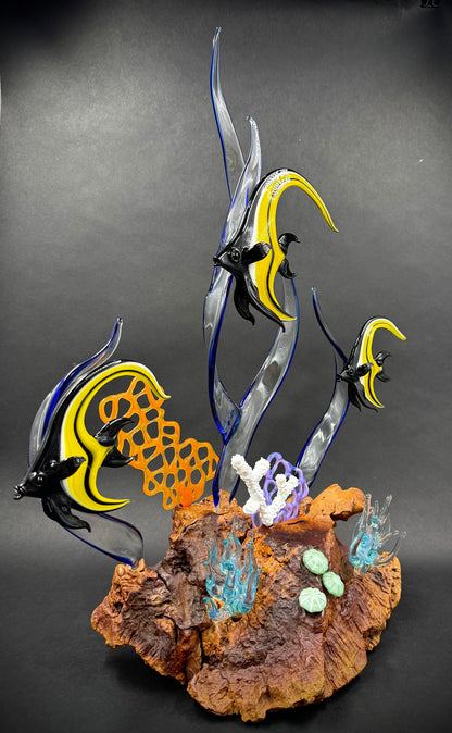 Moorish Idol Reef