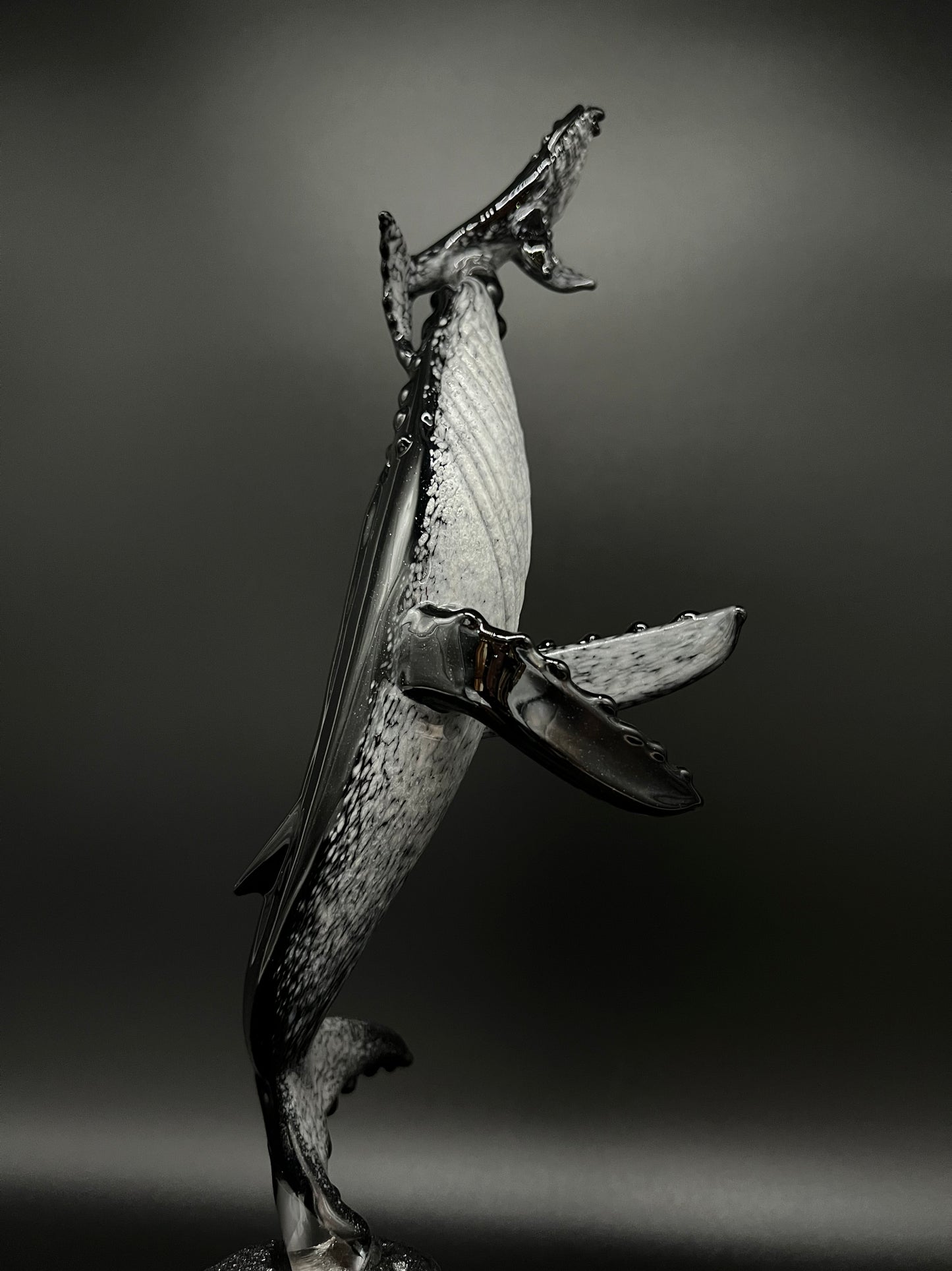 Black and White “First Breath” Glass Humpback Whales