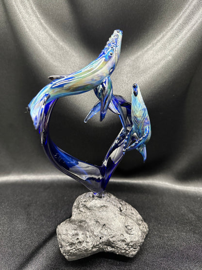 Humpback Heart Breach