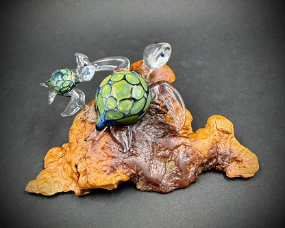 Mother and Child Hawaiian Sea Turtles