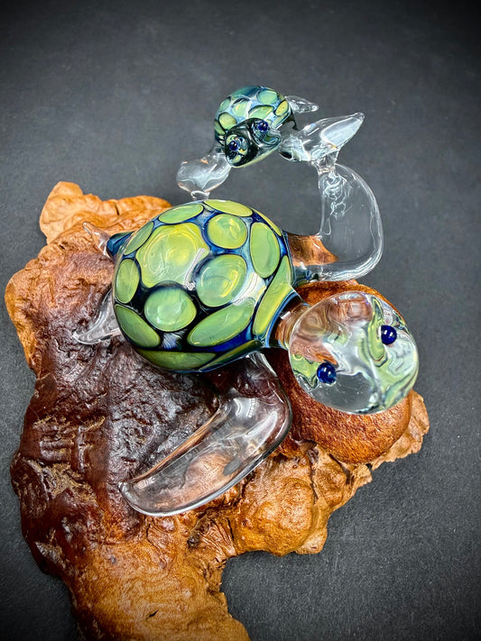 Mother and Child Hawaiian Sea Turtles