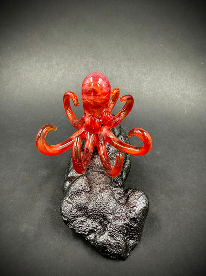 Red Octopus