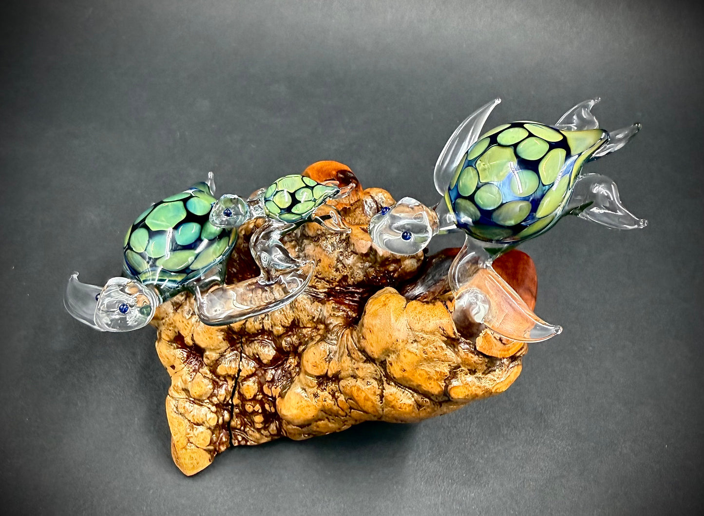 Ohana Family of 3 Hawaiian Sea Turtles