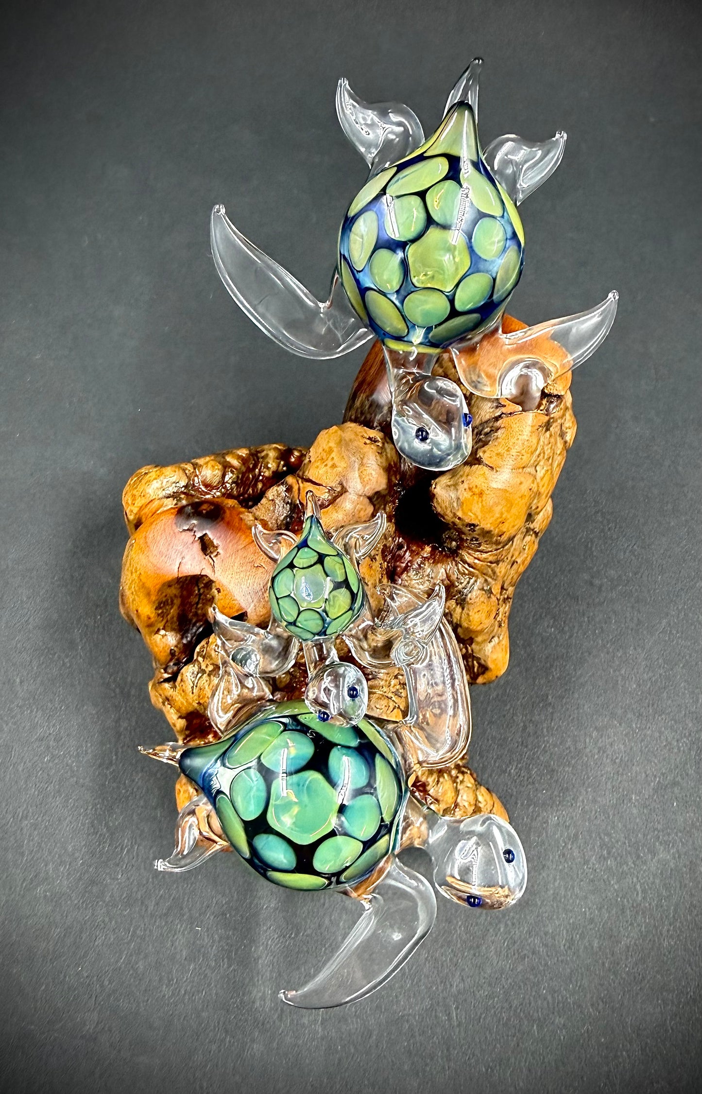 Ohana Family of 3 Hawaiian Sea Turtles