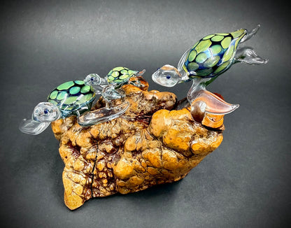 Ohana Family of 3 Hawaiian Sea Turtles