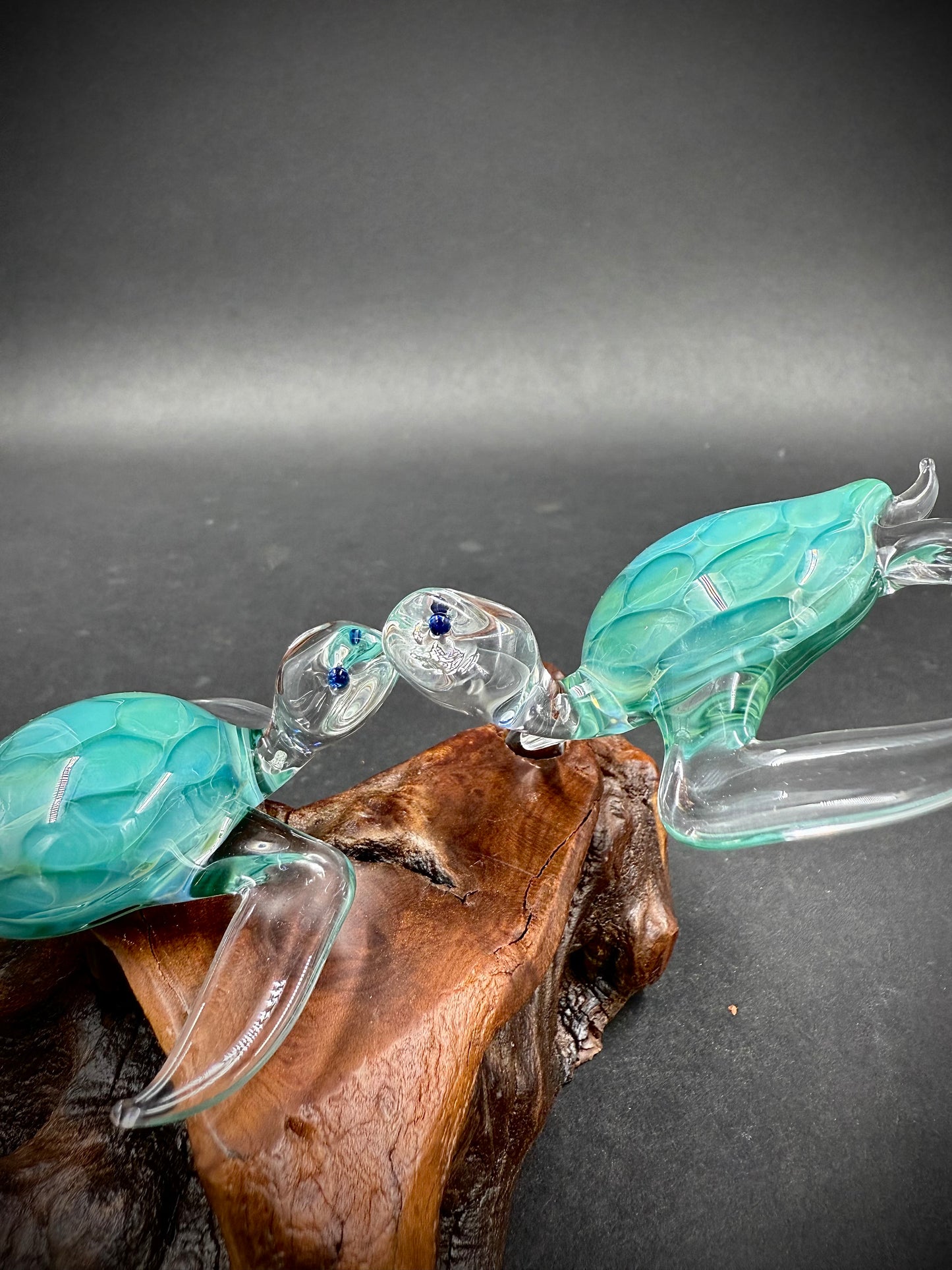 Aqua Honu Pair of Glass Sea Turtles