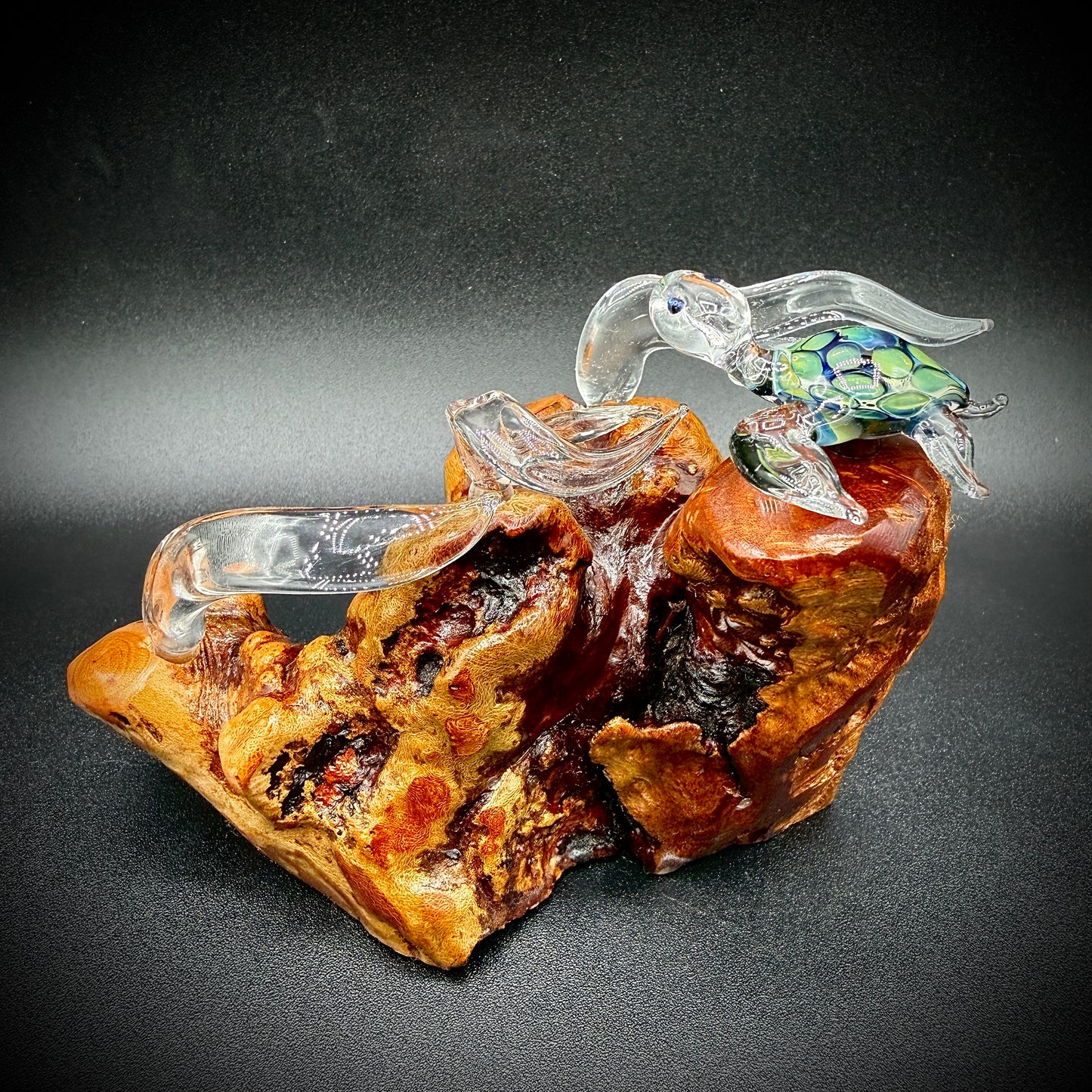 Honu Wave Rider mini