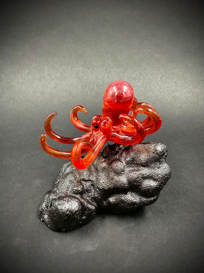 Red Octopus