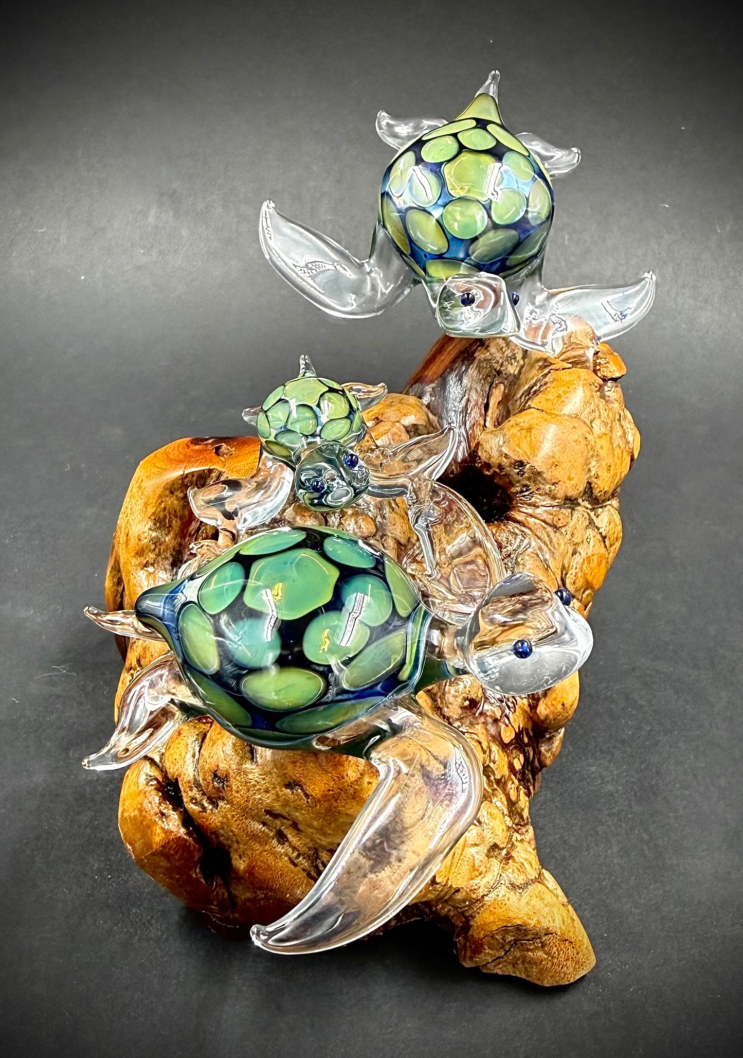 Ohana Family of 3 Hawaiian Sea Turtles