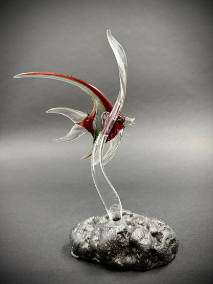 Medium Red Idol Fish