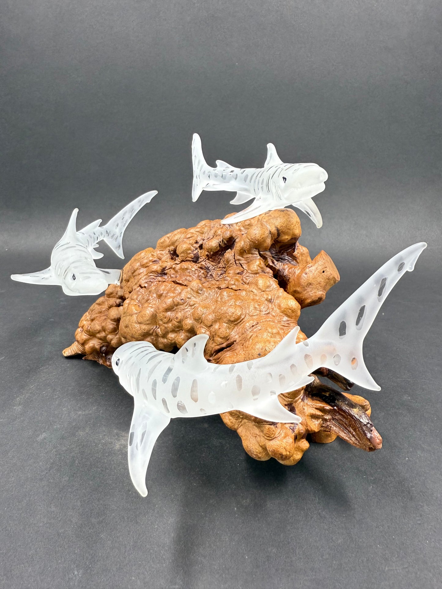 Triple Tiger shark glass sculpture