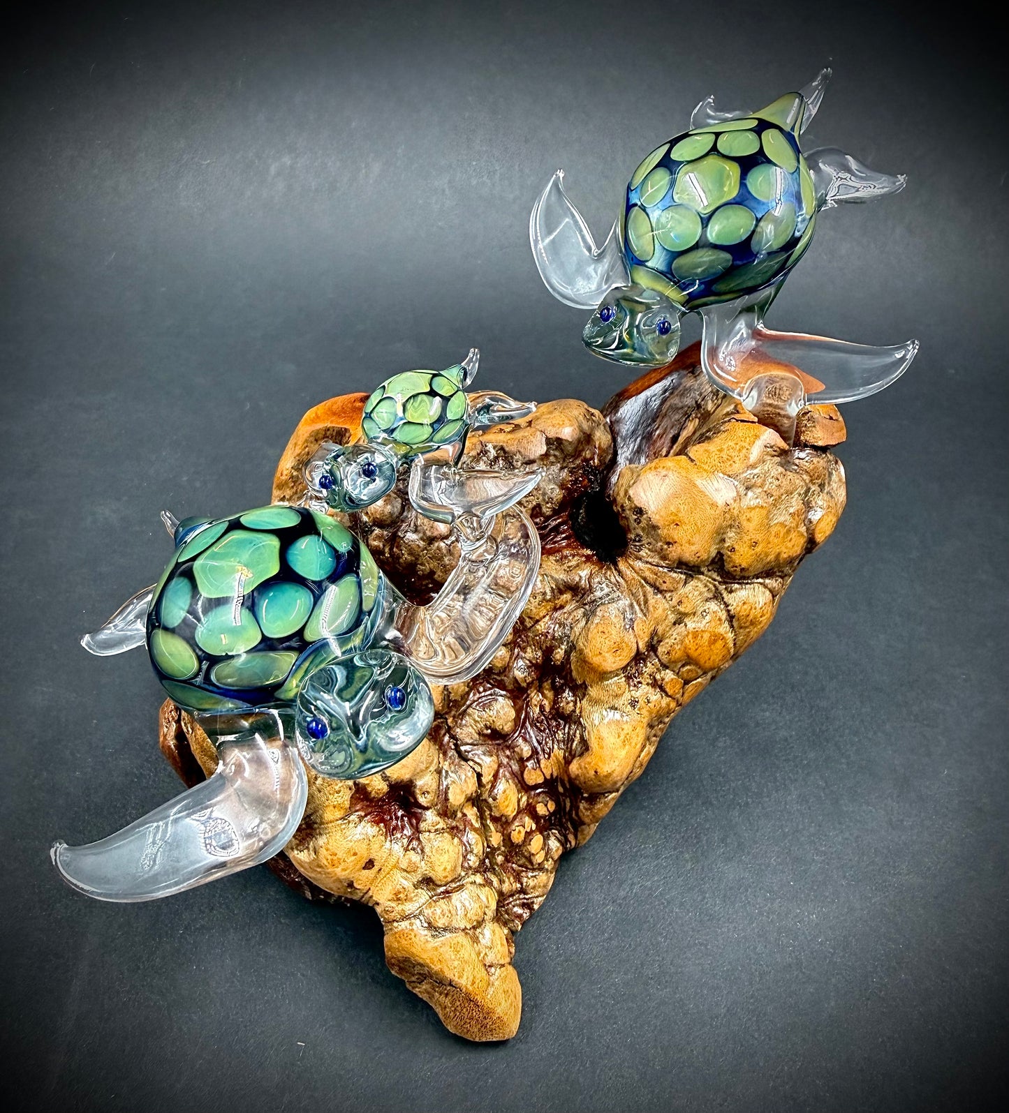 Ohana Family of 3 Hawaiian Sea Turtles