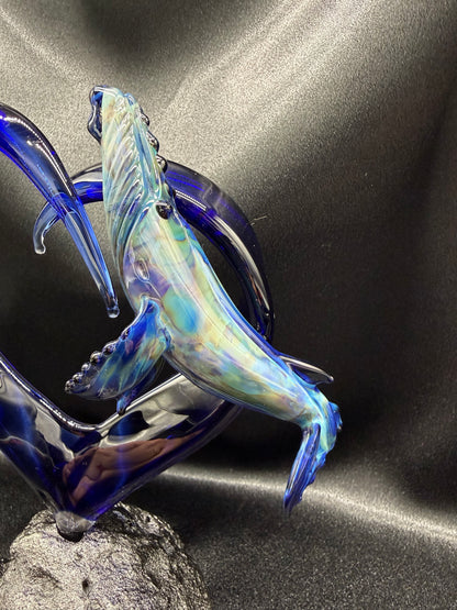 Humpback Heart Breach