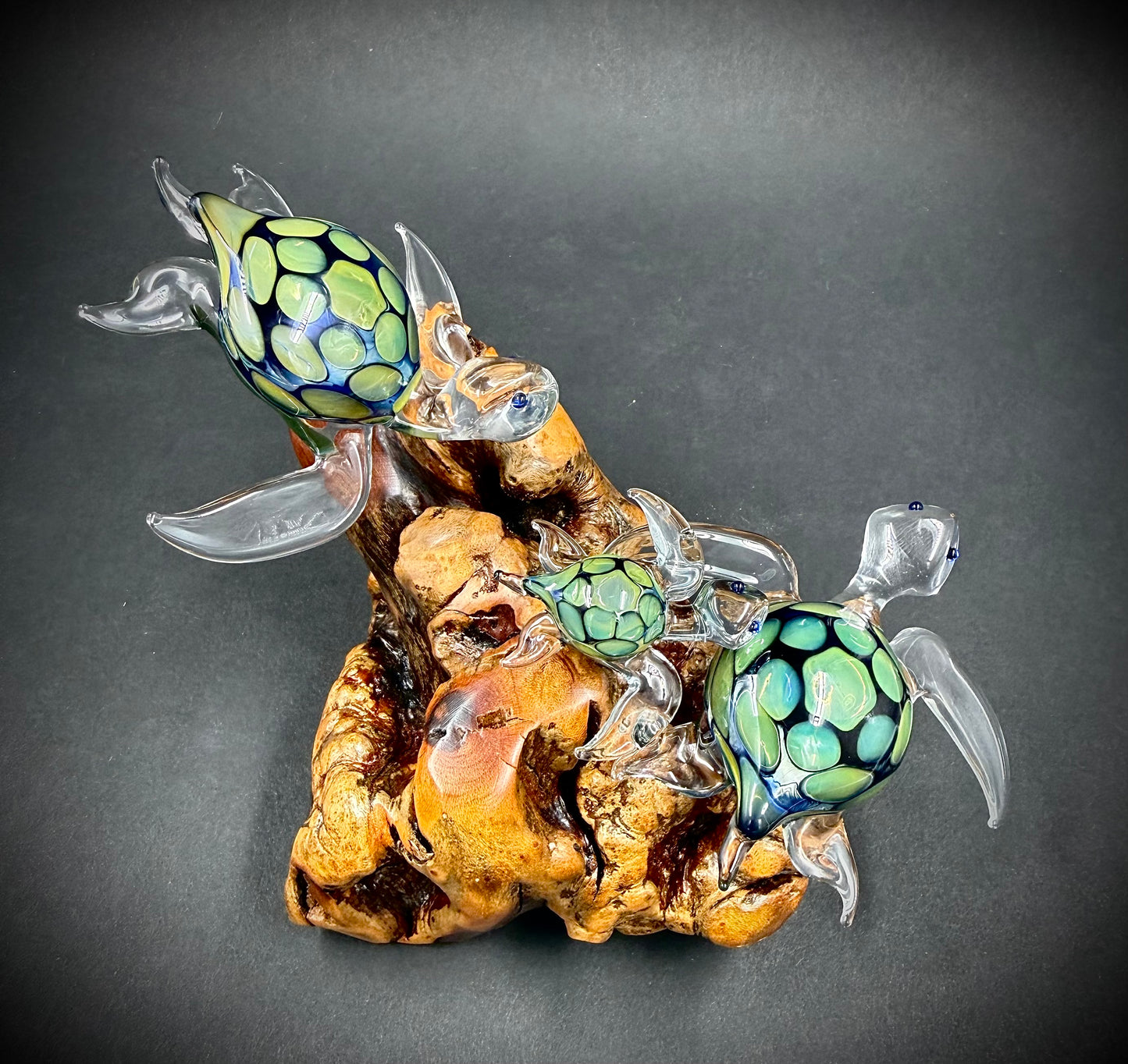 Ohana Family of 3 Hawaiian Sea Turtles