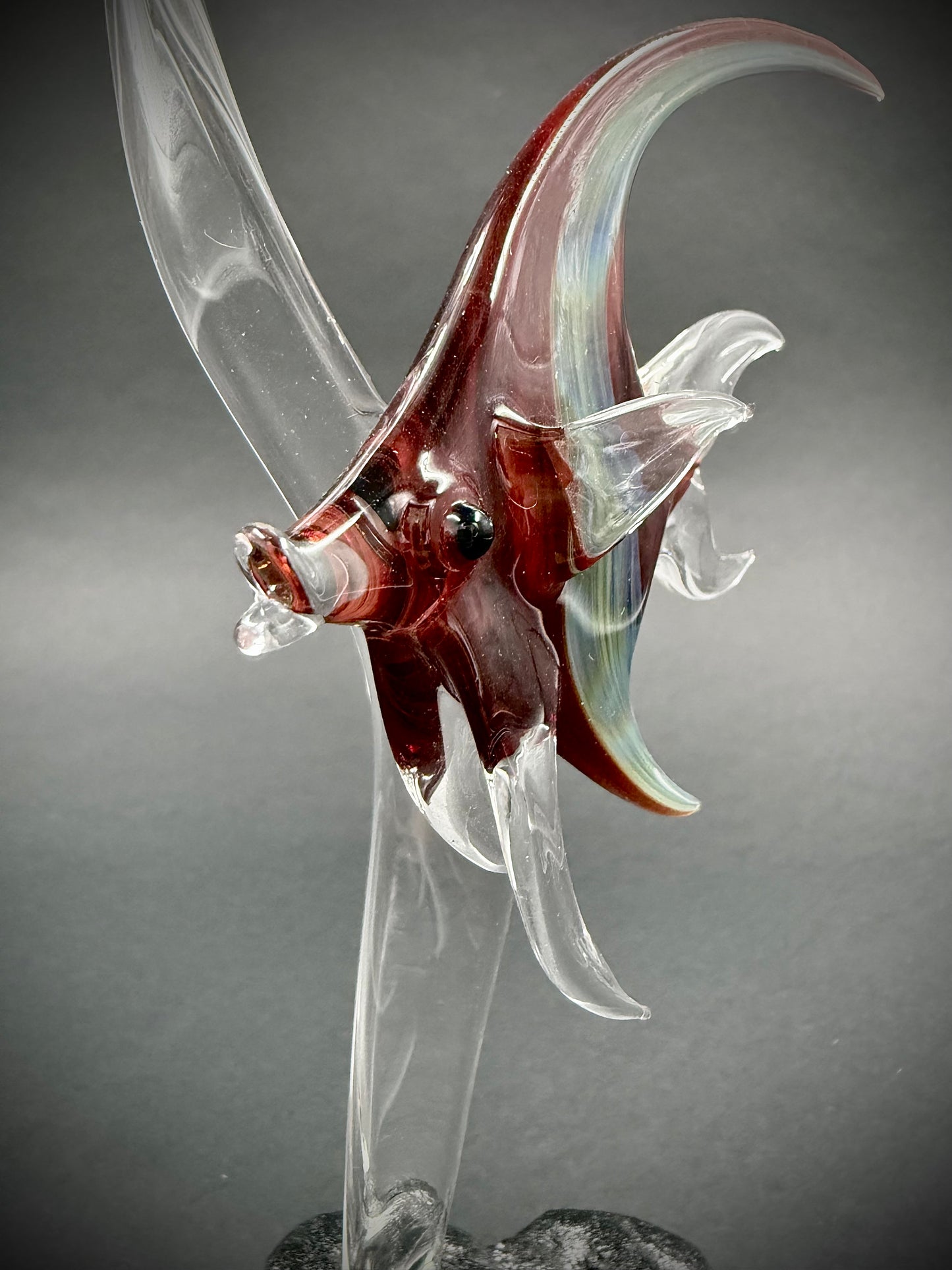 Medium Red Idol Fish