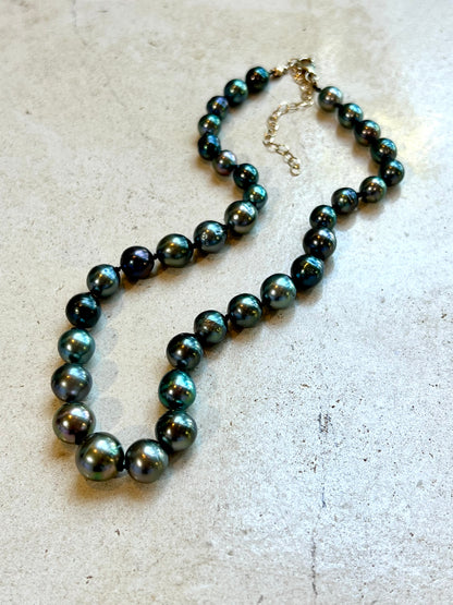 Tahitian Pearl silk knotted strand