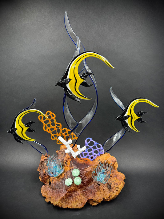 Moorish Idol Reef