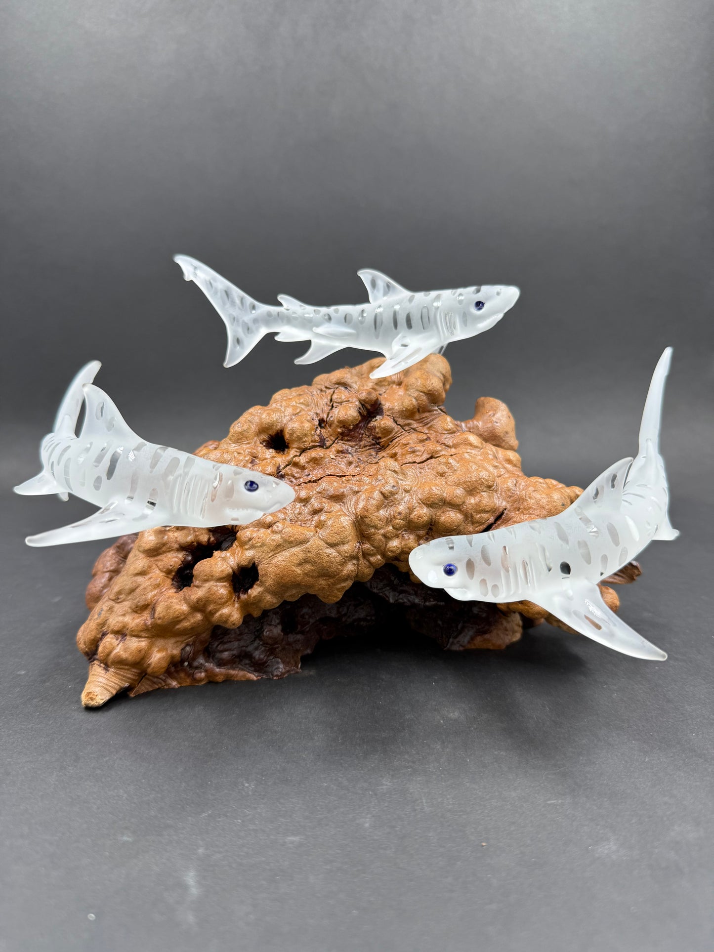 Triple Tiger shark glass sculpture