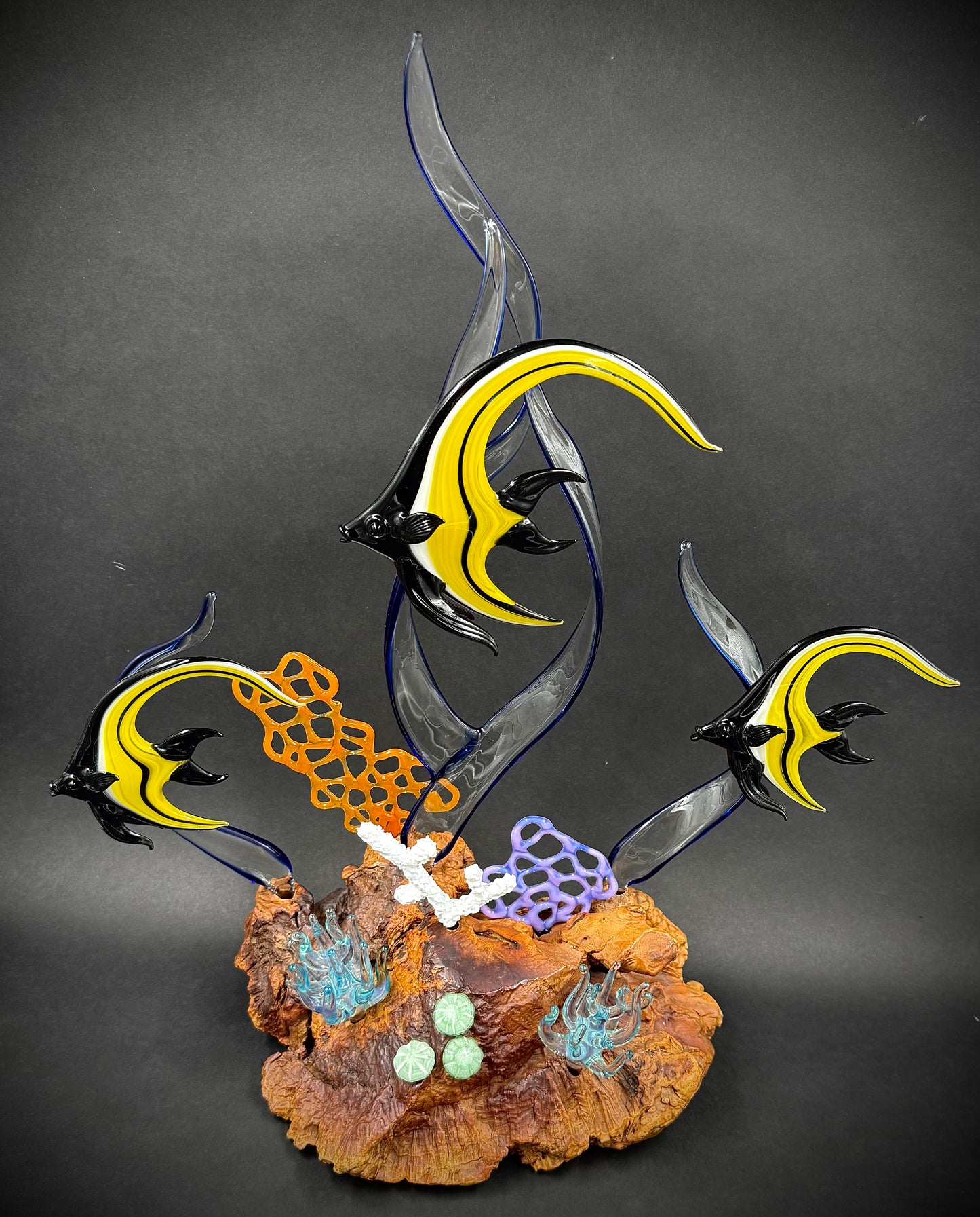 Moorish Idol Reef