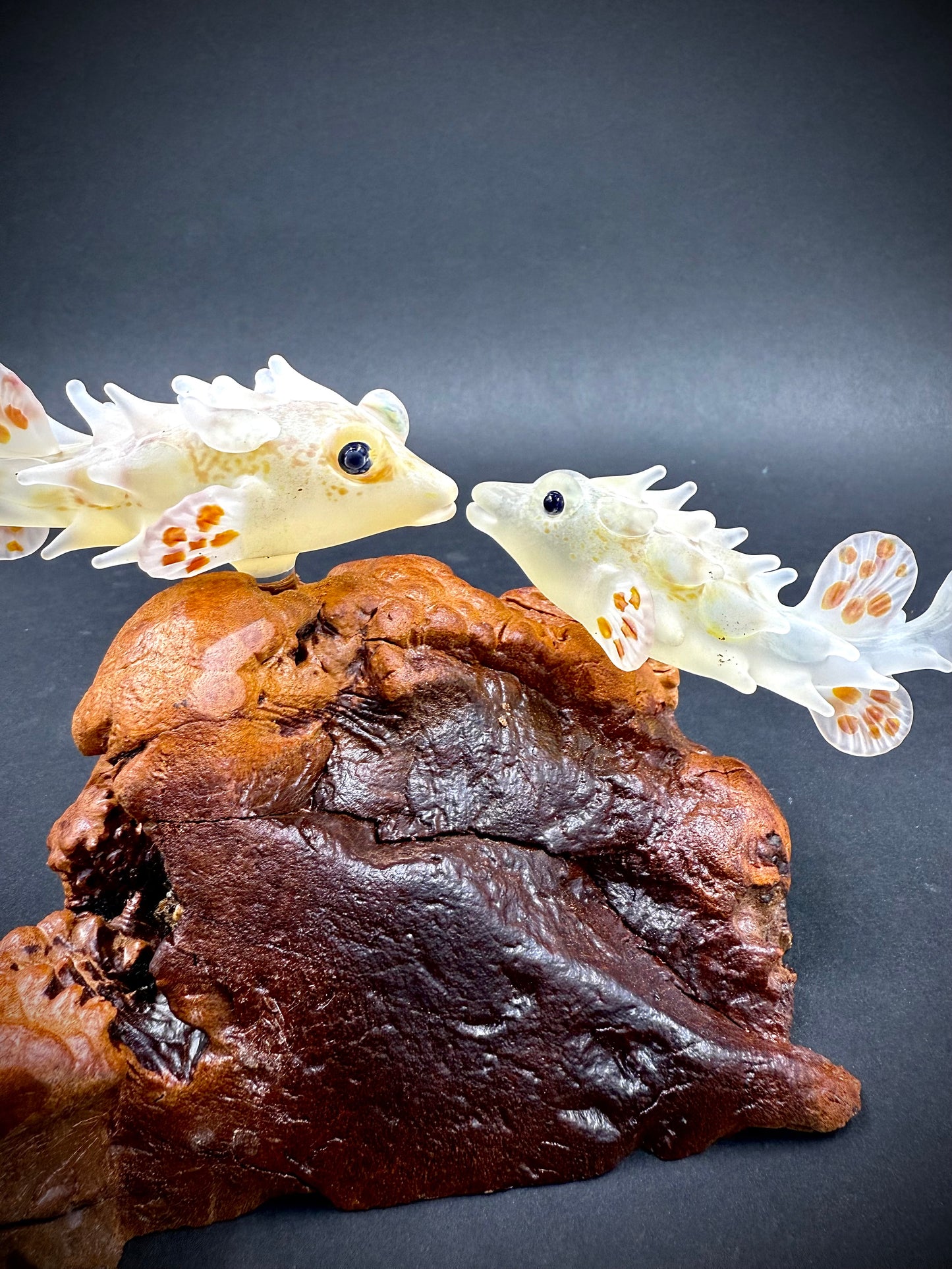 A Pair of Maui Pufferfish