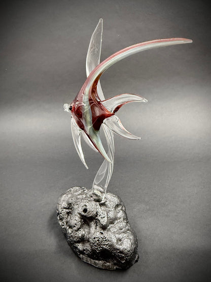 Medium Red Idol Fish