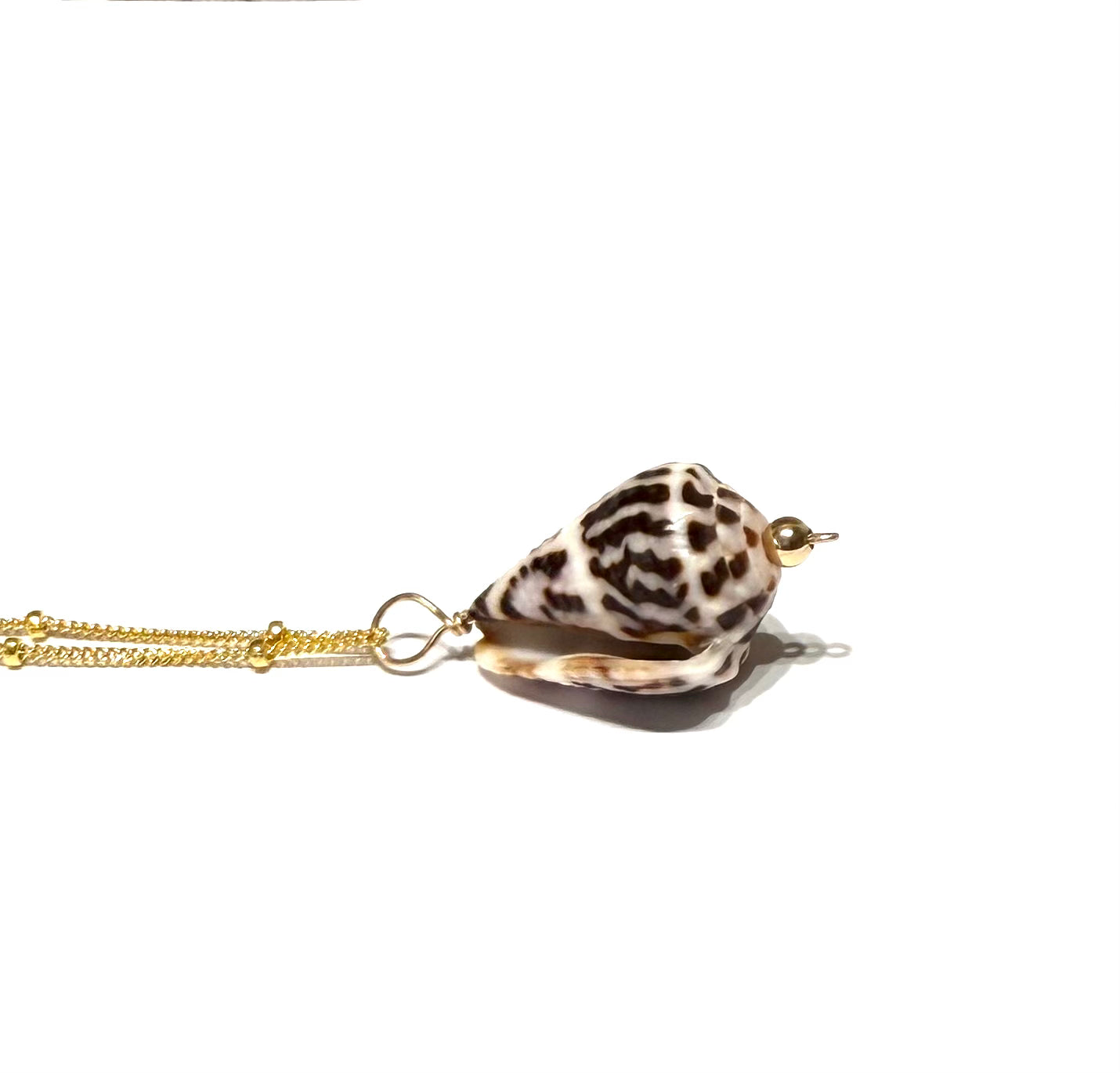 Cone Shell necklace