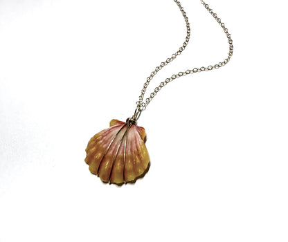 Sunrise shell necklace