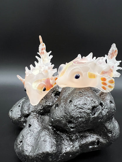 Double Pufferfish on Black Base