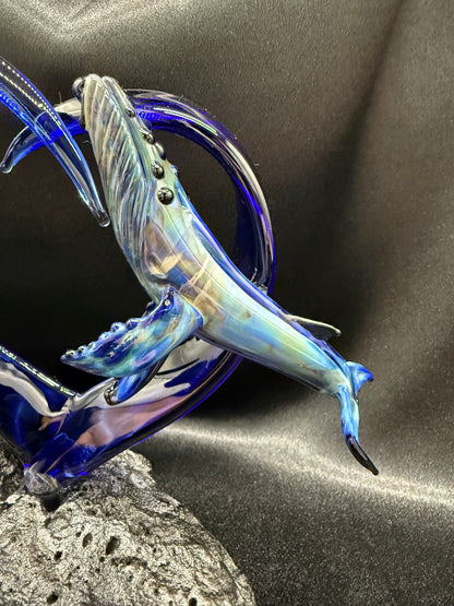 Humpback Heart Breach