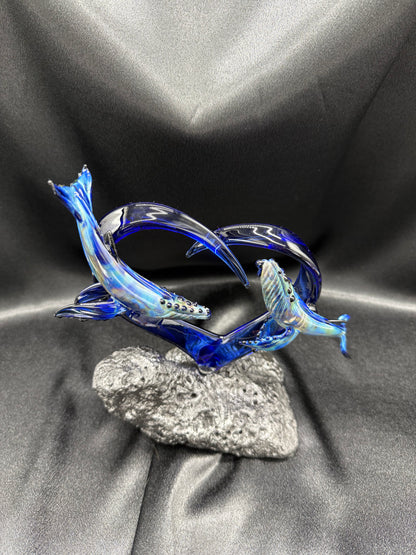 Humpback Heart Breach