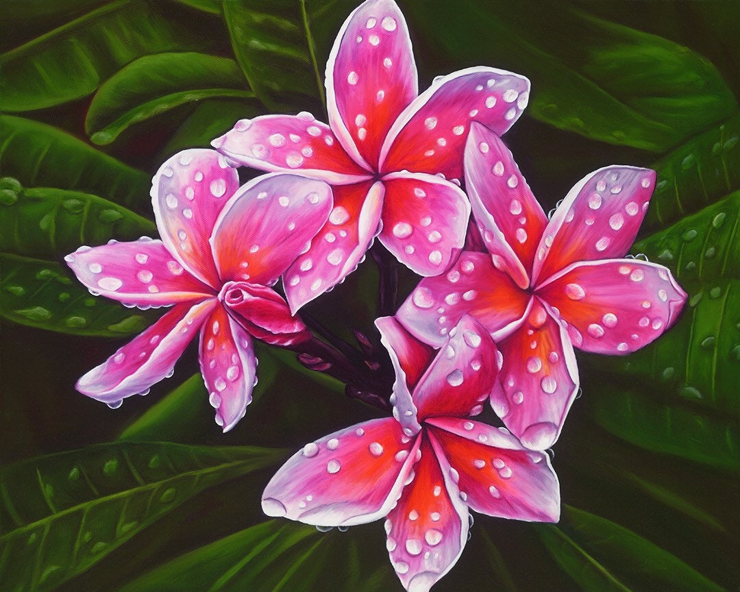 Droplets of Aloha Limited Edition Giclee