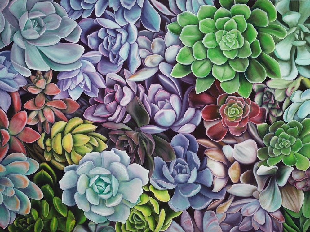 Succulent Daydream Limited Edition Giclee