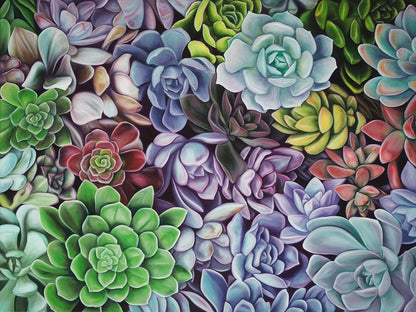 Succulent Daydream Limited Edition Giclee