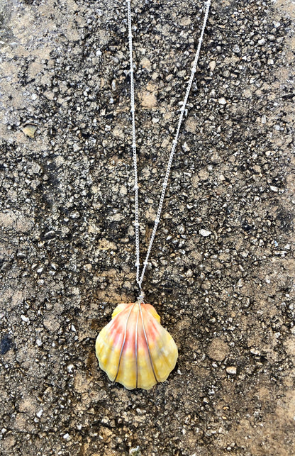 Sunrise shell earrings