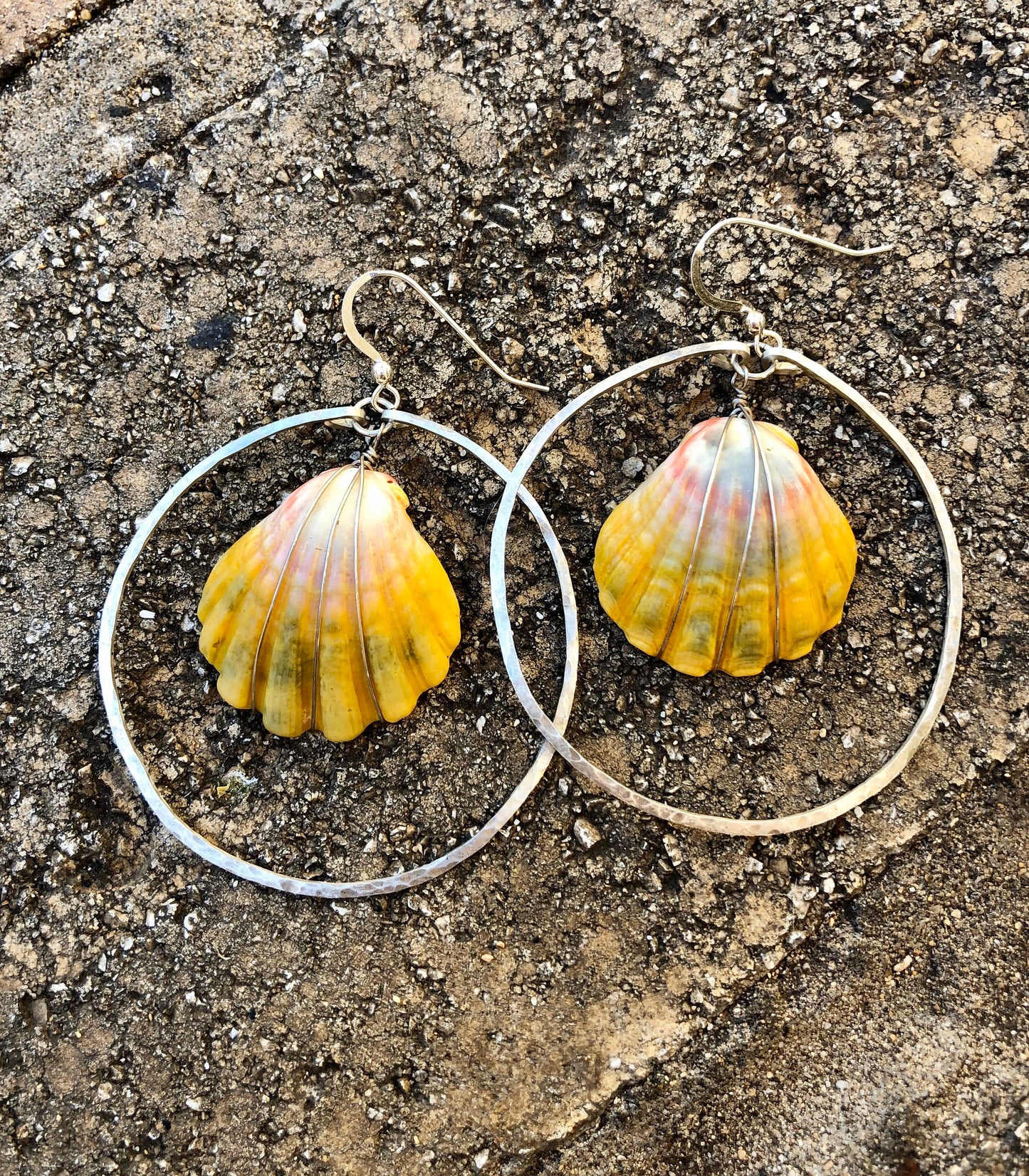 Sunrise shell earrings