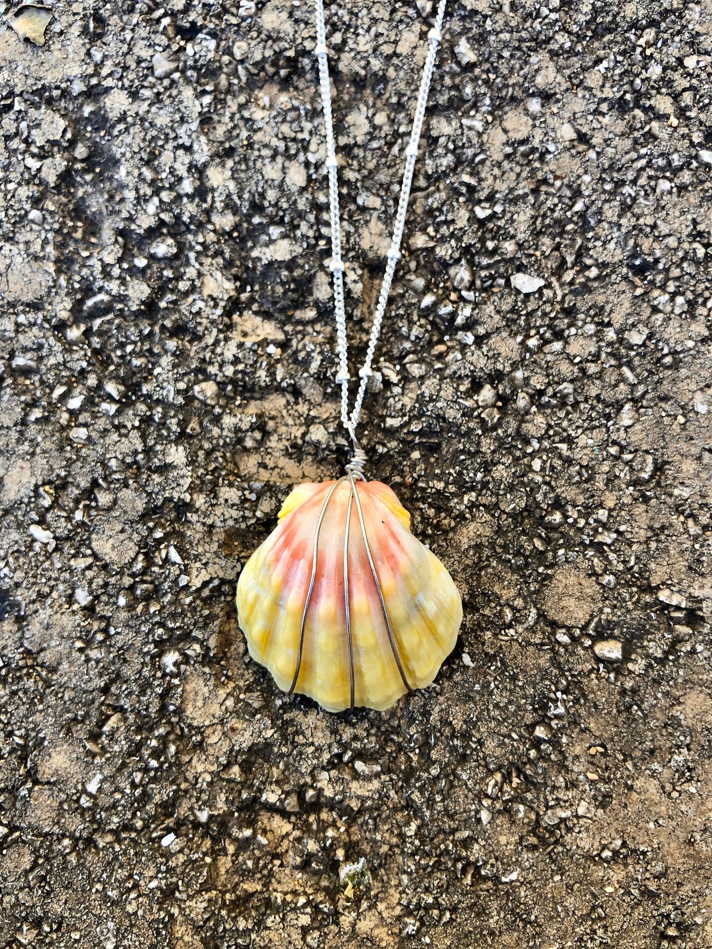 Sunrise shell earrings