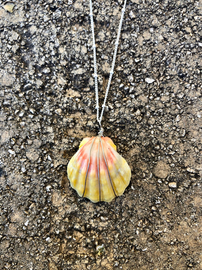 Sunrise shell earrings