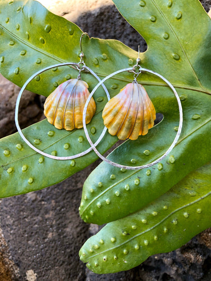 Sunrise shell earrings