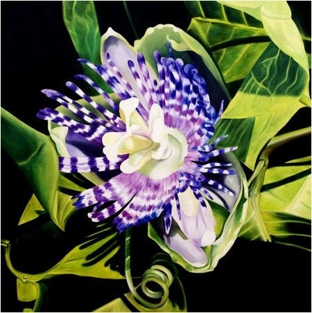 Passion Flower Limited Edition Giclee