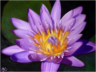 Waterlily Series 2  painting