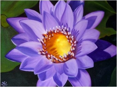 Waterlily Series 3  painting