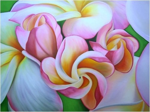 Plumeria Morning Limited Edition Giclee